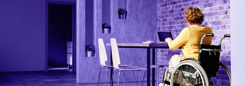 vammaispalvelun lainsäädännön uudistus