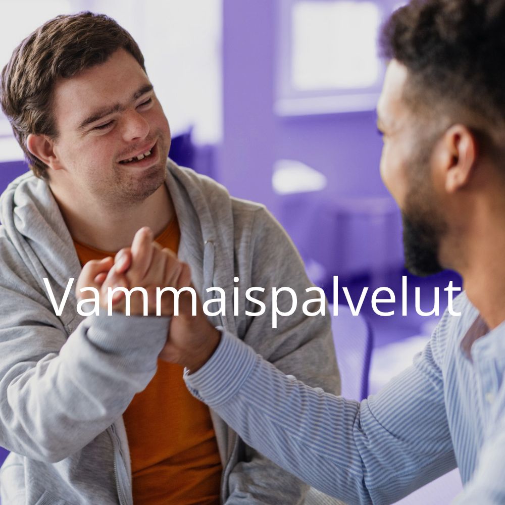 vammaispalvelut